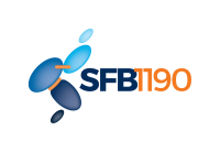 SFB 1190
